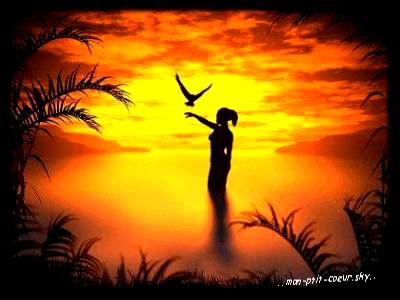 ..Repose en Paix Amine..